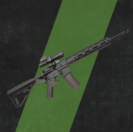 AR-15
